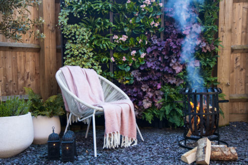 A bare fence transformed in one day with a beautiful living wall from Rosewood