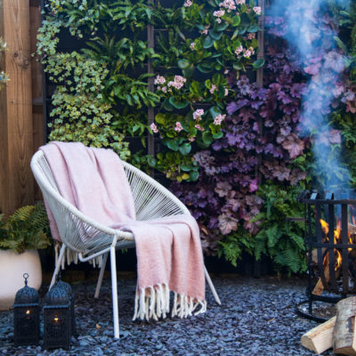 A bare fence transformed in one day with a beautiful living wall from Rosewood