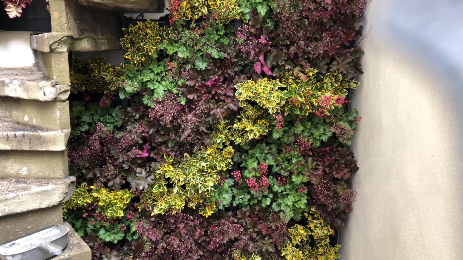 living wall makes a spectacular staircase
