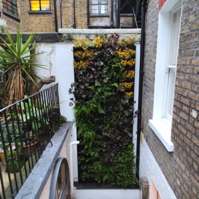 London living walls by Rosewood - add some green to your urban jungle