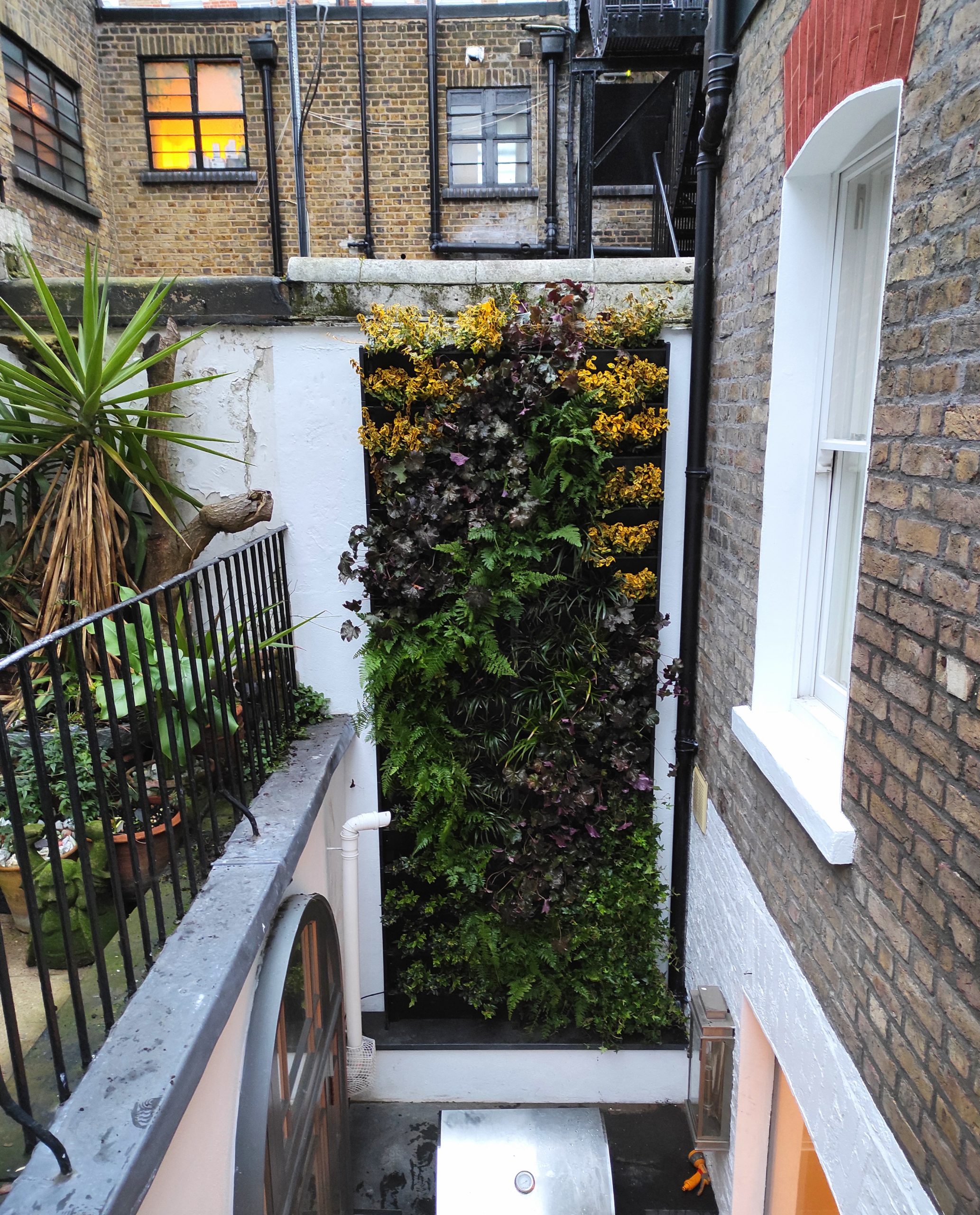London living walls by Rosewood - add some green to your urban jungle