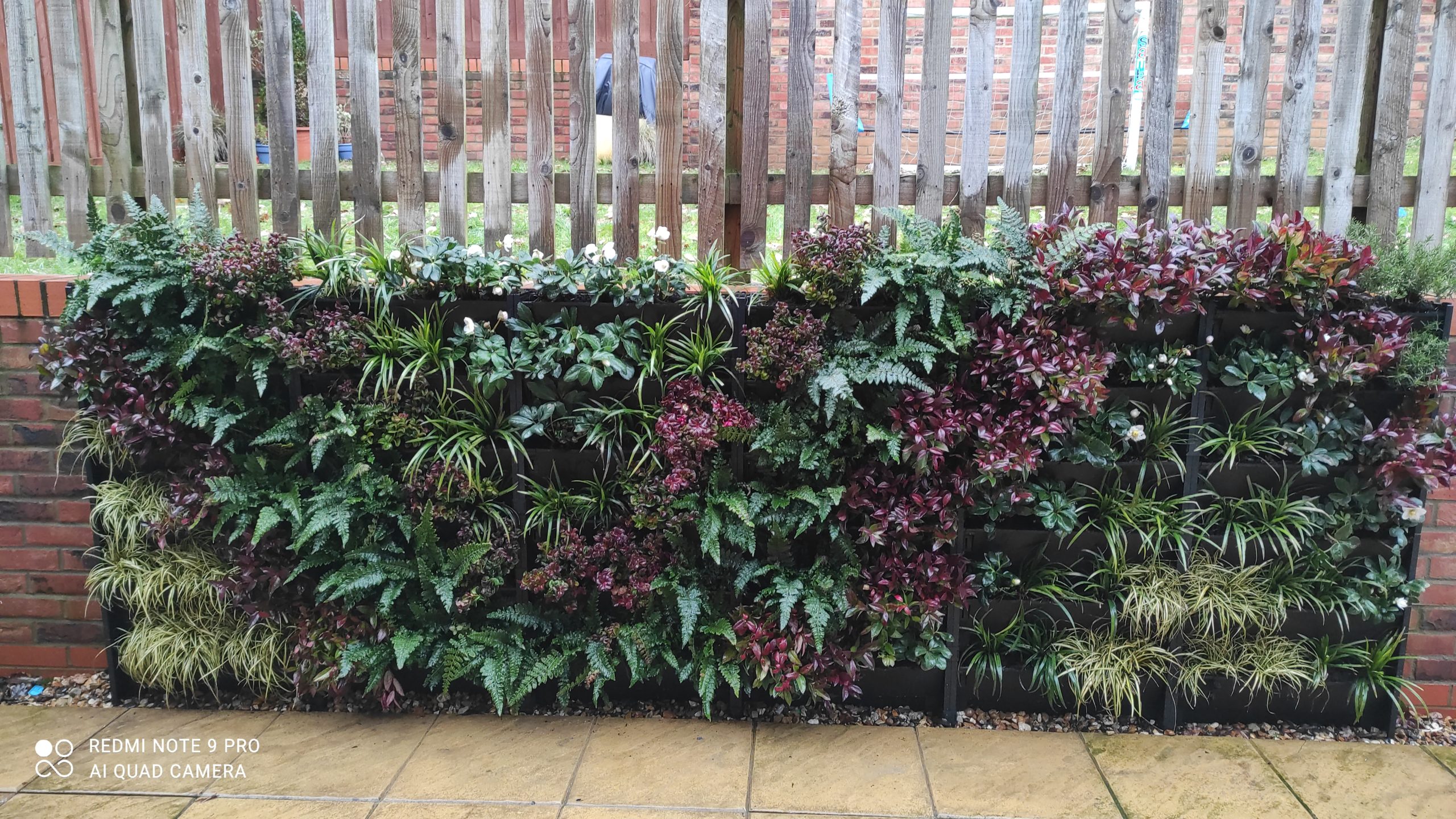 no hassle vertical gardens give instant impact and a host of benefits