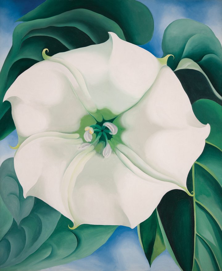 Georgia O'Keeffe's Jimson Weed is our flower art for February