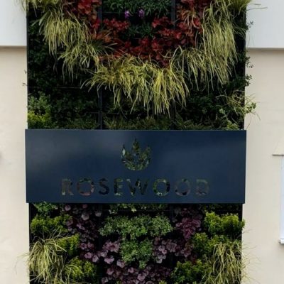 A great way to improve your car park - a living wall looks amazing