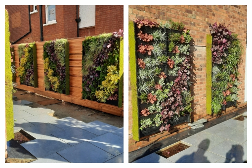 A row of living walls looks amazing