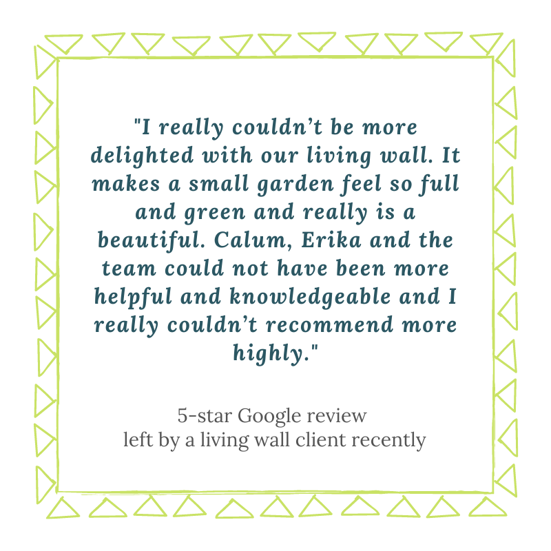 living walls for small gardens really make all the difference, as this review shows