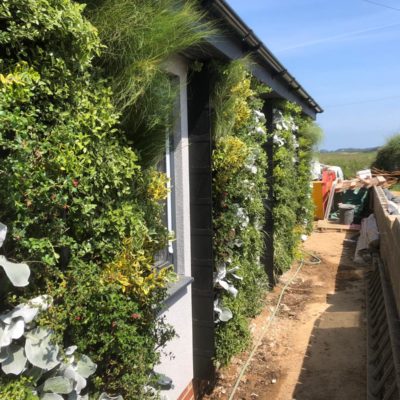 a seaside living wall brings great views in every direction