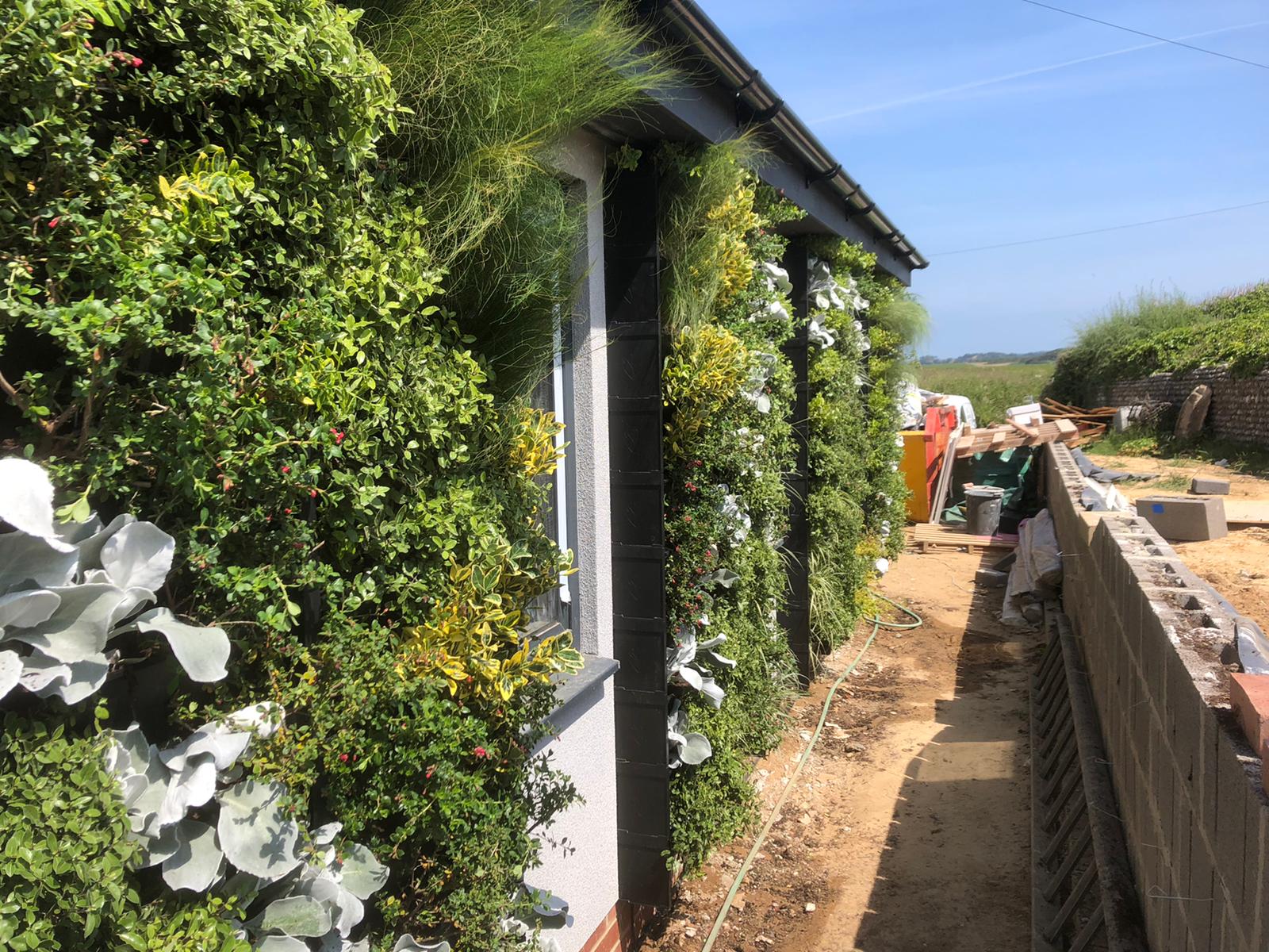 a seaside living wall brings great views in every direction