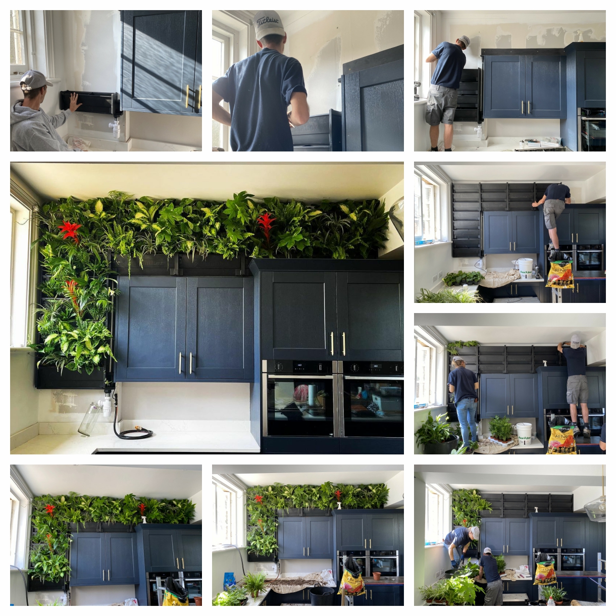 living walls in contemporary kitchen design
