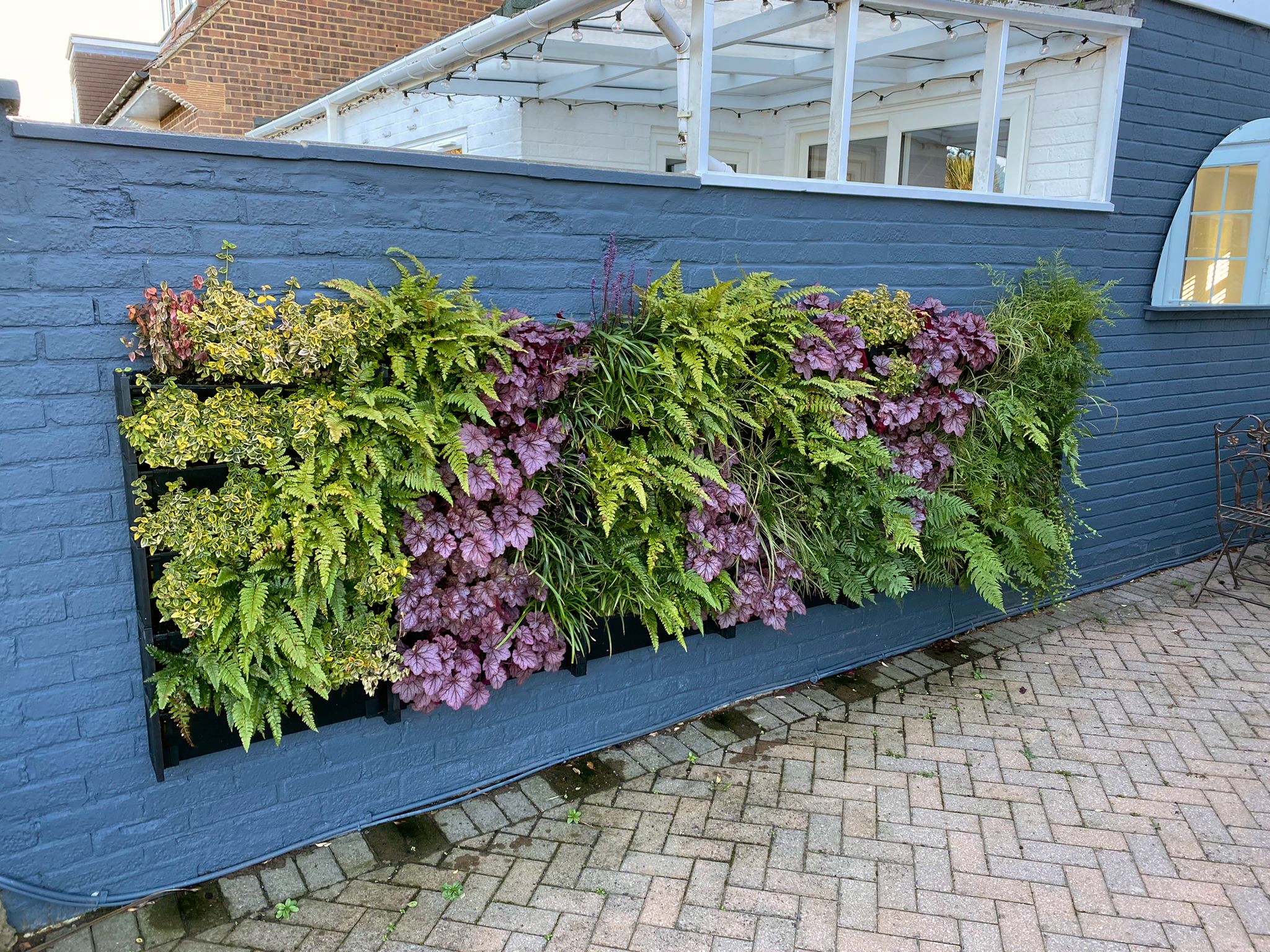 evergreen living walls provide year round interest