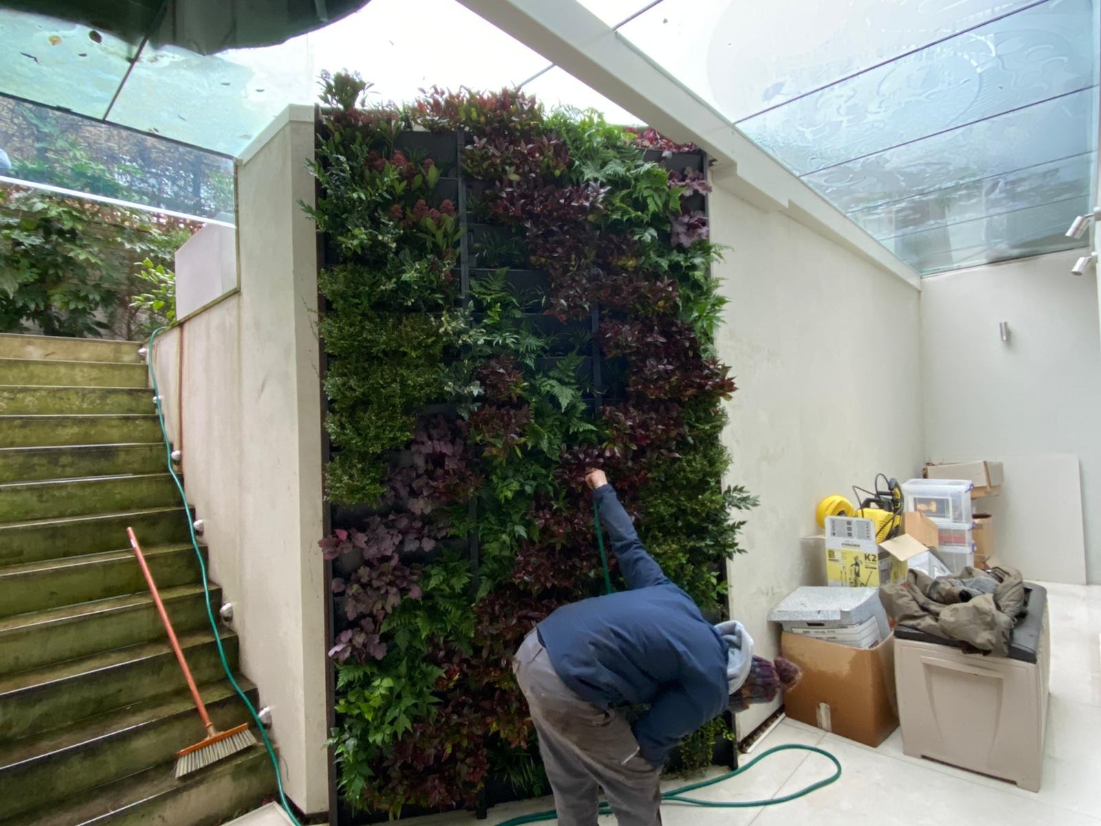 replacing a living wall