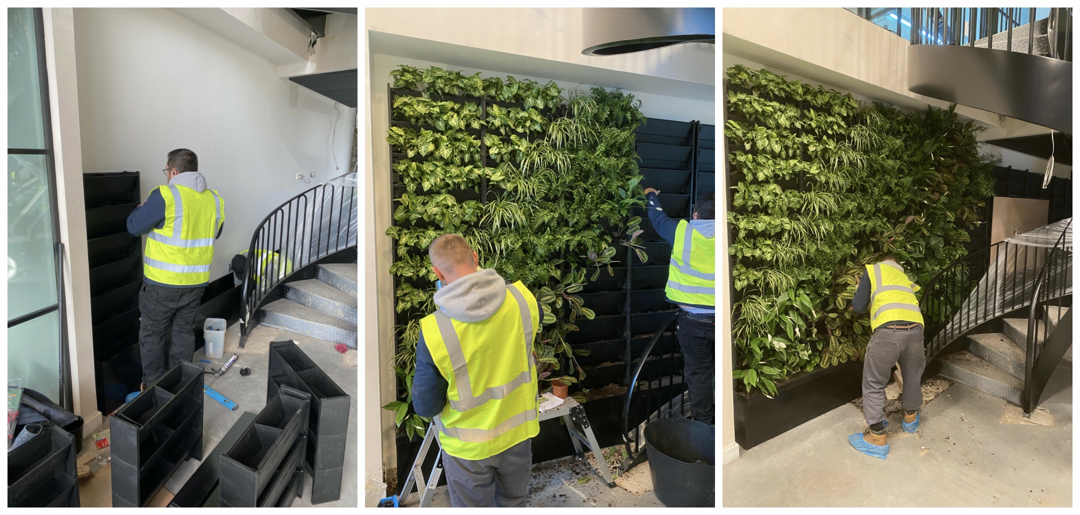 griggs triple living wall set