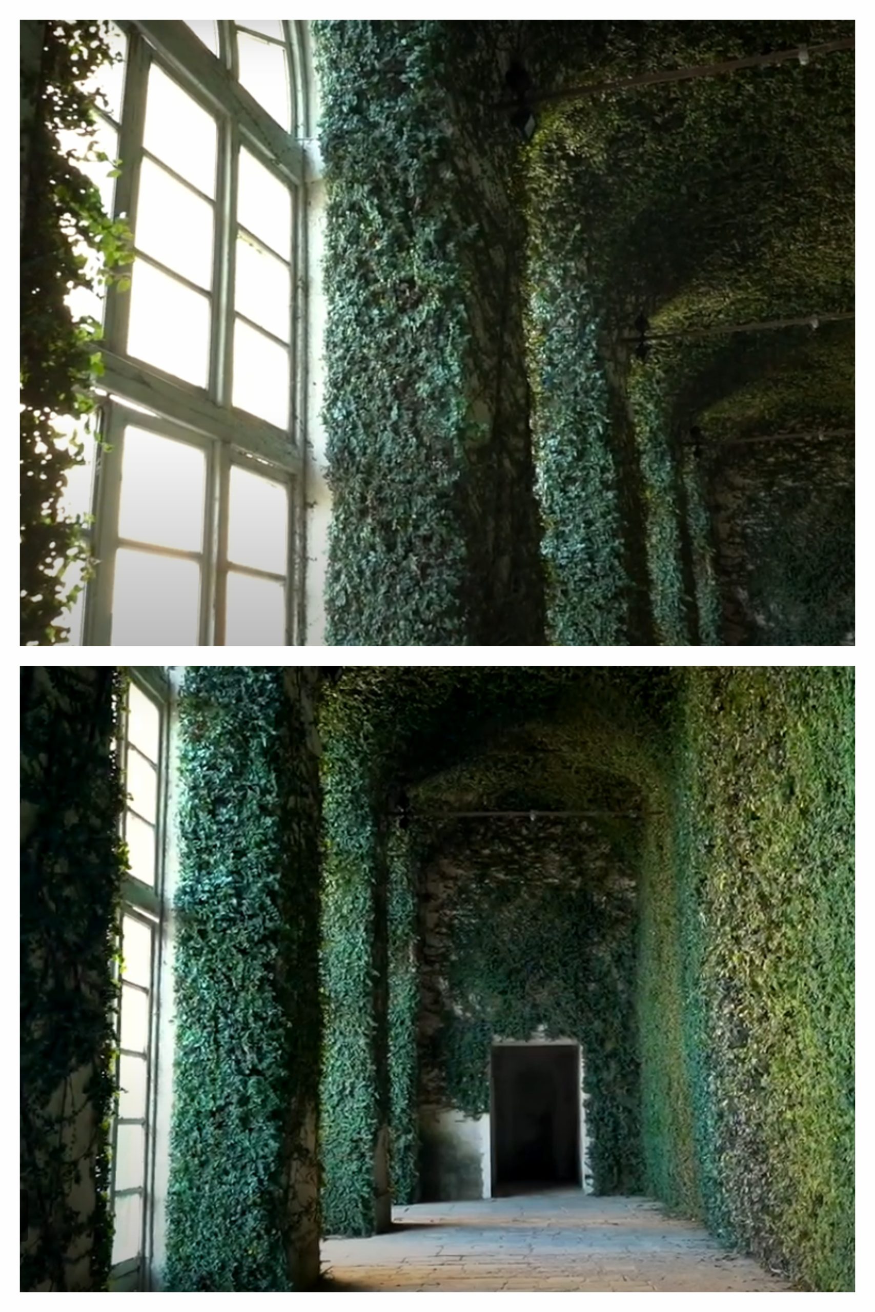 interior living wall goals at the Castello di Aglie near Turin