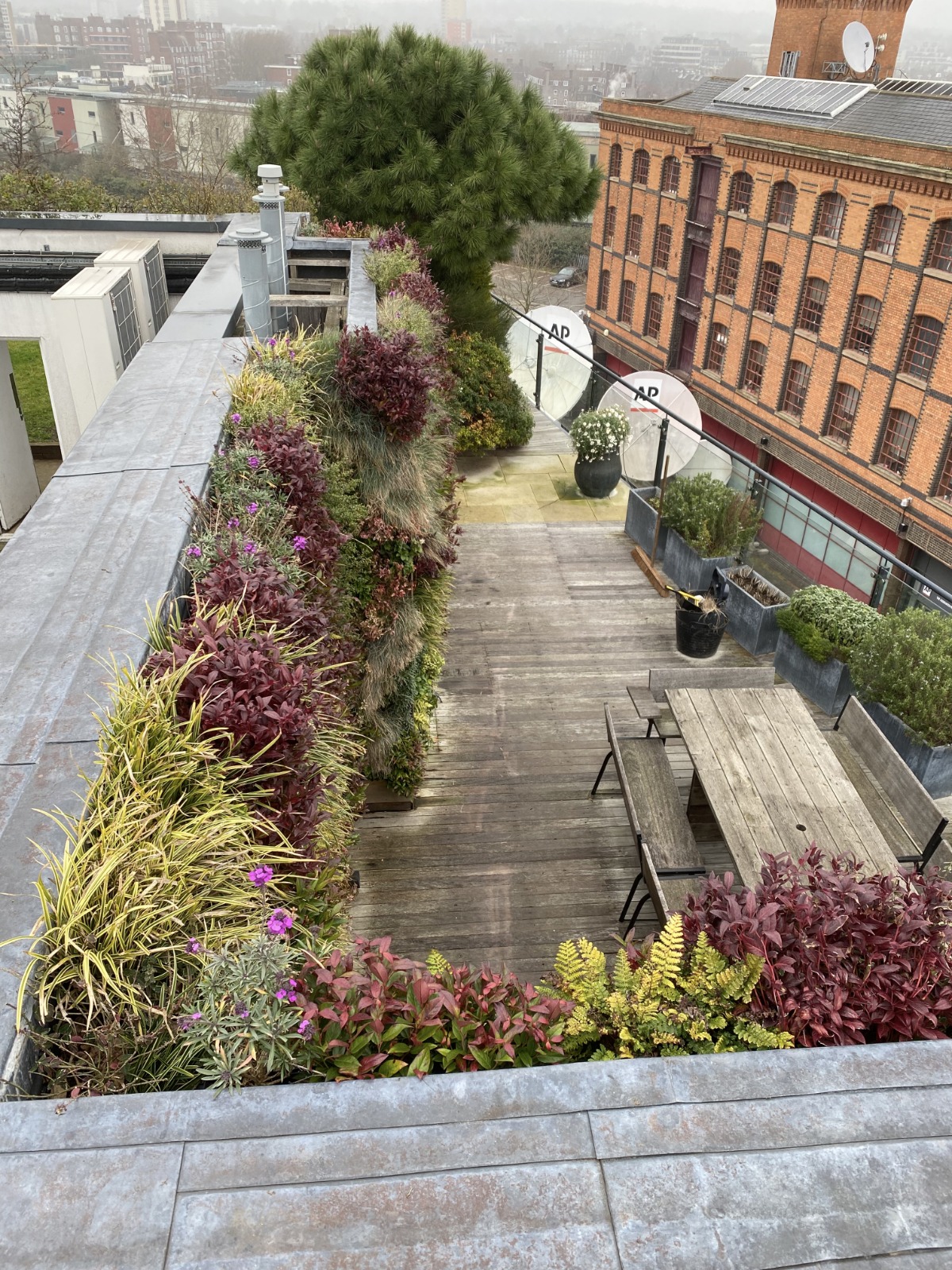 living walls for a roof garden bring the wow factor as well as helping biodiversity in urban areas