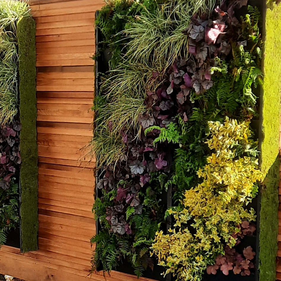 start green education with living walls in schools