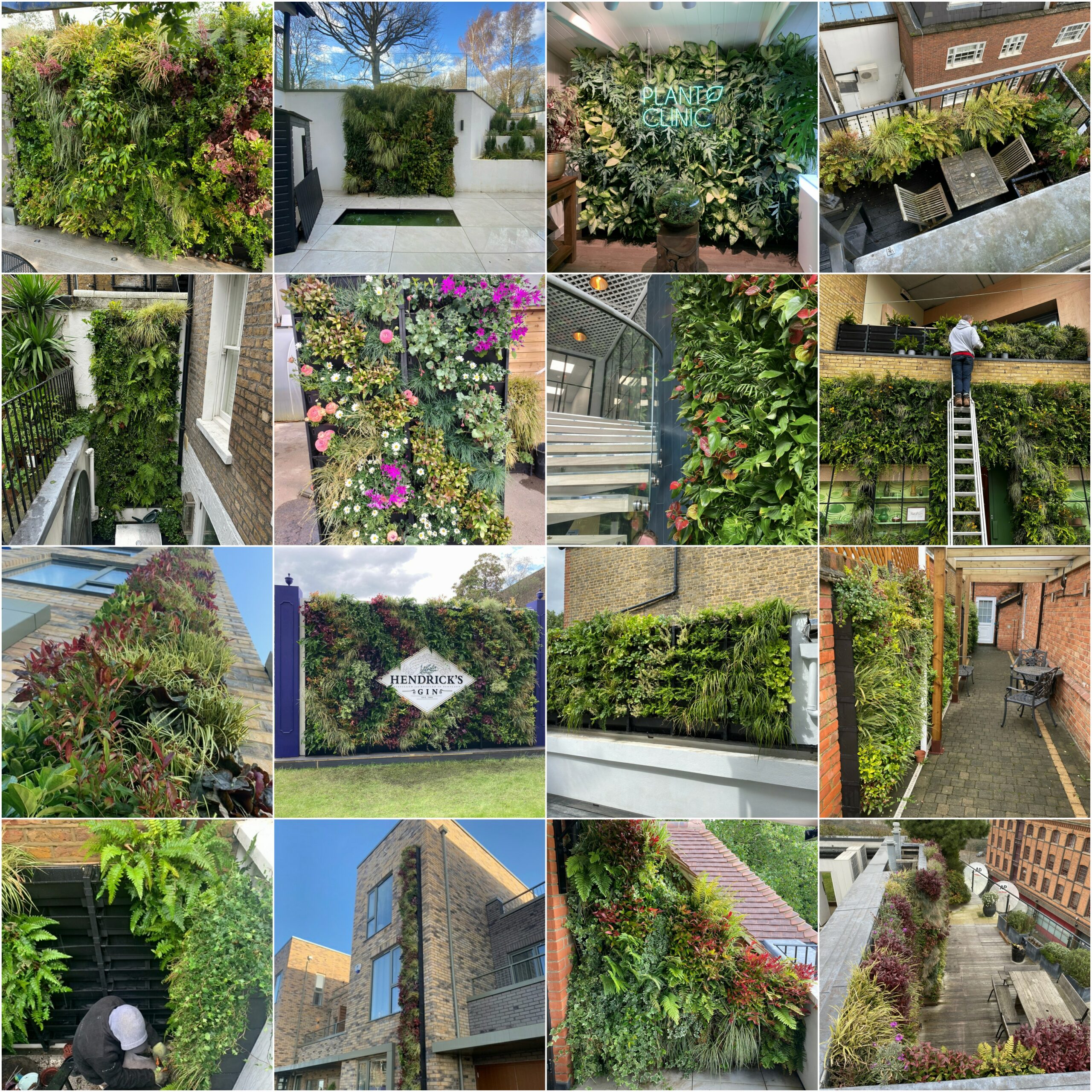 our favourite jobs from 2023 include commercial and residential living walls, all designed to benefit mental and physical wellbeing!