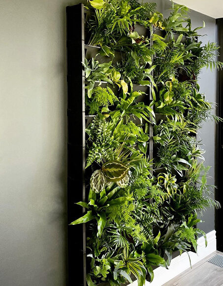 living walls in rented properties can create a garden where you don't have one